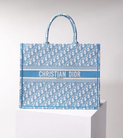 Replica Dior Tote Book CD Light Blue - Best Fake Designer Bags
