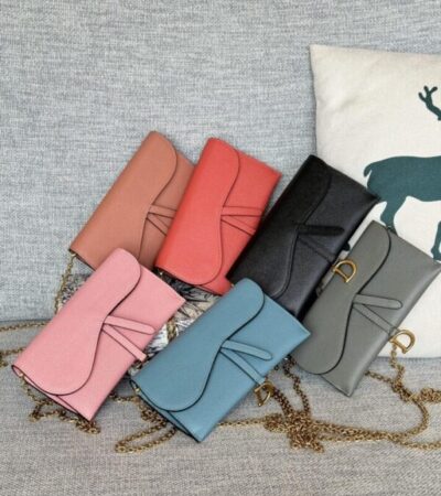 Replica Dior Saddle WOC - Best Fake Designer Bags